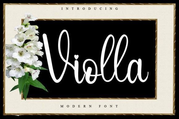 Discover the Beauty of Violla Font